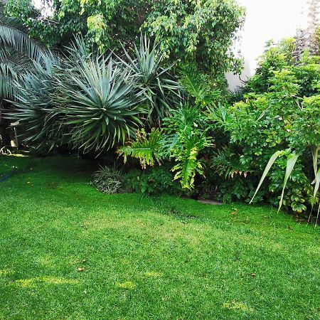 Mulberry Gardens Self Catering Apartman Swakopmund Kültér fotó