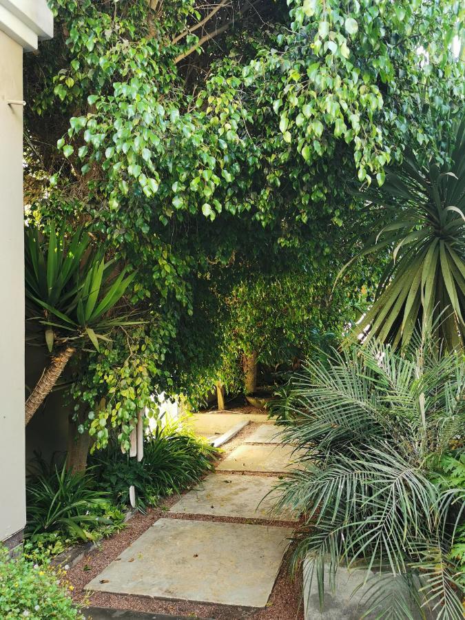 Mulberry Gardens Self Catering Apartman Swakopmund Kültér fotó